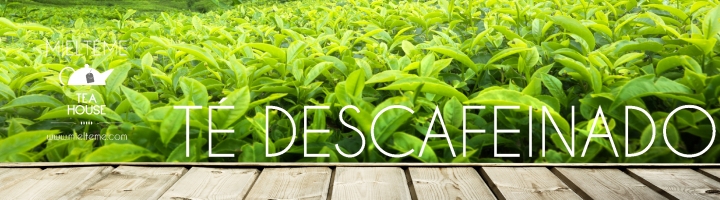 TÉ DESCAFEINADO